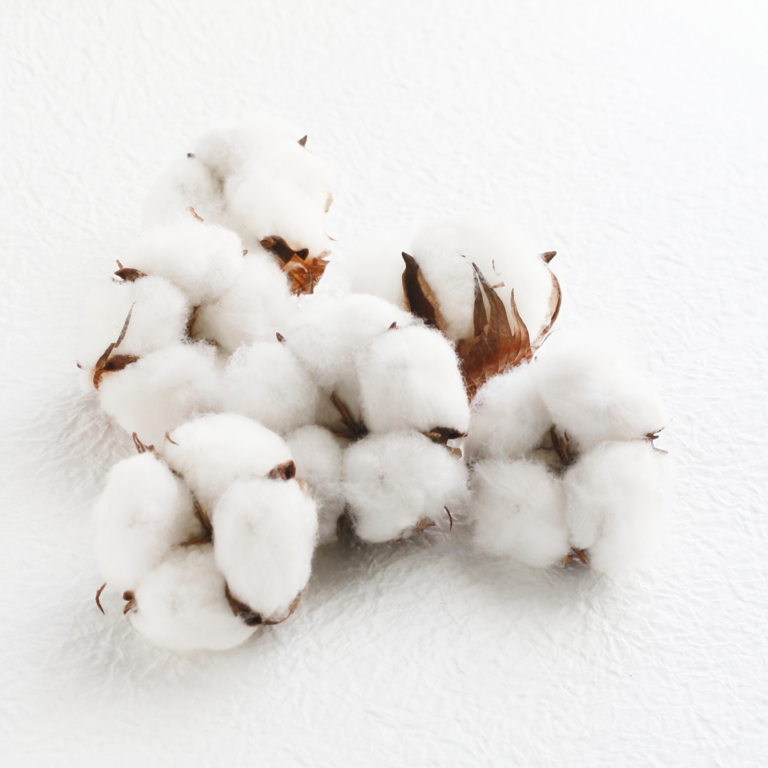 Savon Apaisant Hydratant & Nourrissant - au Lait de Chèvre & Fleur de Coton - 110 grammes - 100% végétal